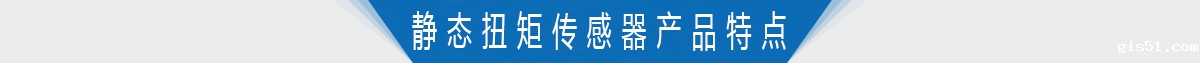 轴式静态扭矩传感器产品特点